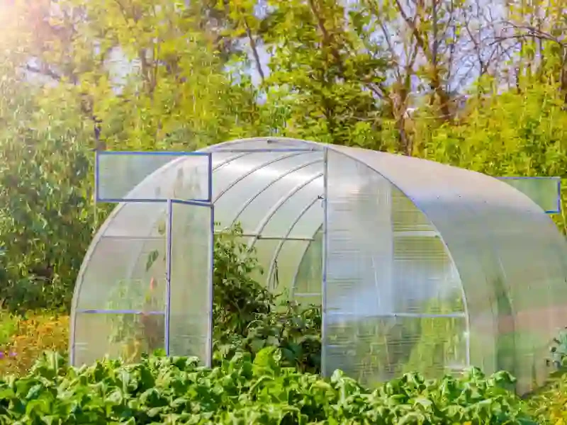 Translucent Greenhouse Tarps